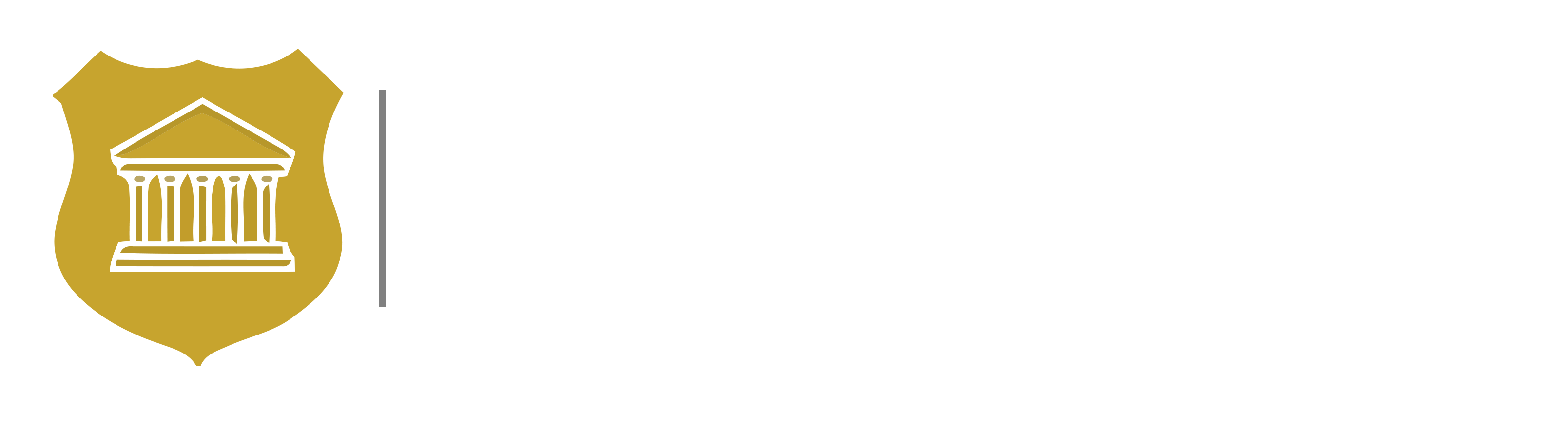 South Carolina Criminal Law: Dayne Philips